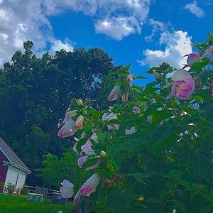 Meet your Posher, Kayden